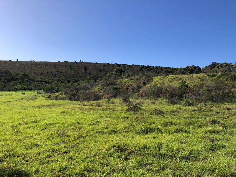 0 Bedroom Property for Sale in Baardskeerdersbos Western Cape